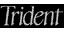 trident.gif (466 bytes)